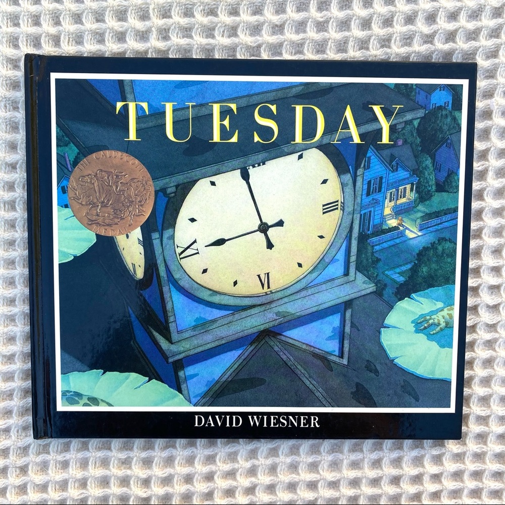 2/$10 Tuesday David Weisner Newberry Winner book